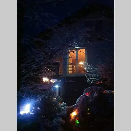 Wolf's Plane Luxury Isolated Mountain House For Digital Nomads * Fojnica