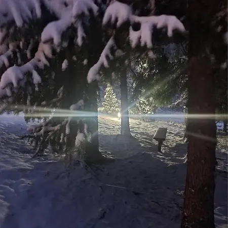 Vila Wolf's Plane Luxury Isolated Mountain House For Digital Nomads Fojnica