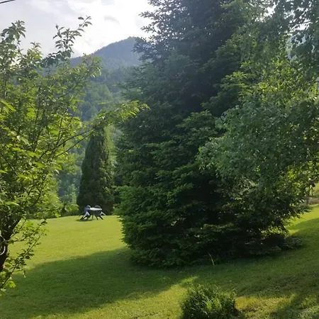 Wolf's Plane Luxury Isolated Mountain House For Digital Nomads * Fojnica