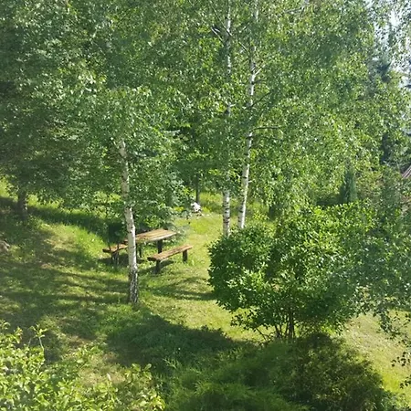 Wolf's Plane Luxury Isolated Mountain House For Digital Nomads