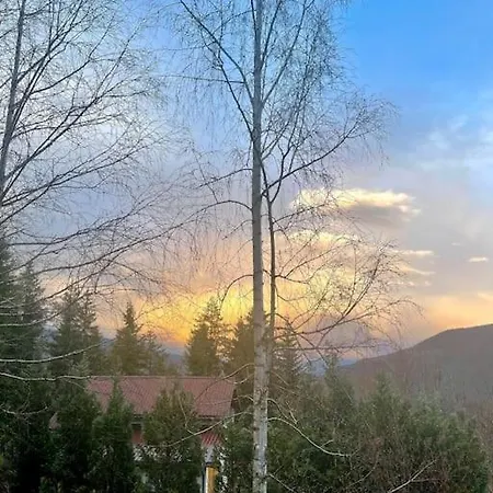 Wolf's Plane Luxury Isolated Mountain House For Digital Nomads *