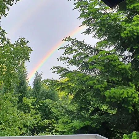 Wolf's Plane Luxury Isolated Mountain House For Digital Nomads *