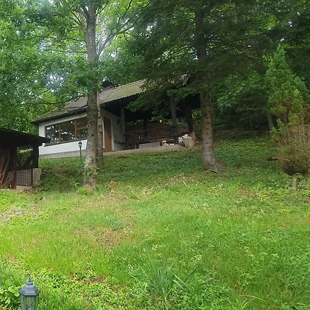 Wolf's Plane Luxury Isolated Mountain House For Digital Nomads *