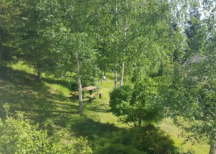 Wolf's Plane Luxury Isolated Mountain House For Digital Nomads