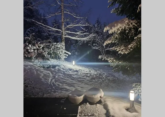 Wolf's Plane Luxury Isolated Mountain House For Digital Nomads * פויניצה